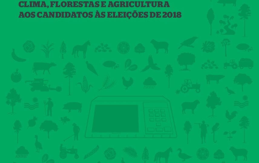 Capa: Mudanças climáticas: Riscos e Oportunidades para o Desenvolvimento do Brasil
