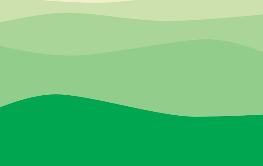 Capa: Visão 2030-2050: O Futuro das Florestas da Agricultura no Brasil