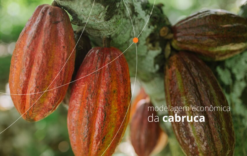 Capa: Modelagem econômica da cabruca