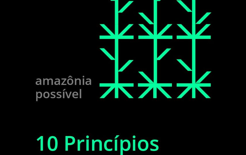 Capa: 10 Princípios Empresariais para uma Amazônia Sustentável