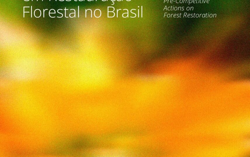 Capa: Ações Pré-Competitivas Empresariais em Restauração Florestal no Brasil