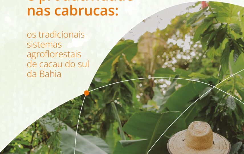 Capa: Biodiversidade, serviços ecossistêmicos e produtividade nas cabrucas