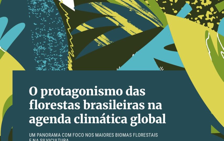 Capa: O protagonismo das florestas brasileiras na agenda climática global