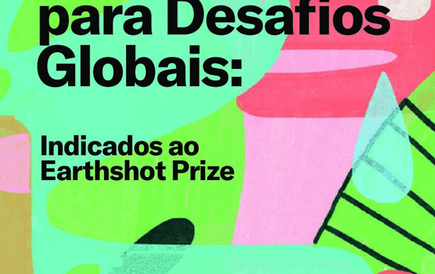 Capa:  Soluções brasileiras para desafios globais 