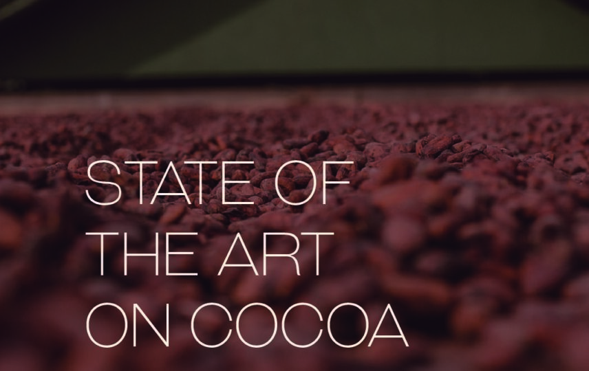 Capa: Executive Summary - State of the art on cocoa production in Brazil