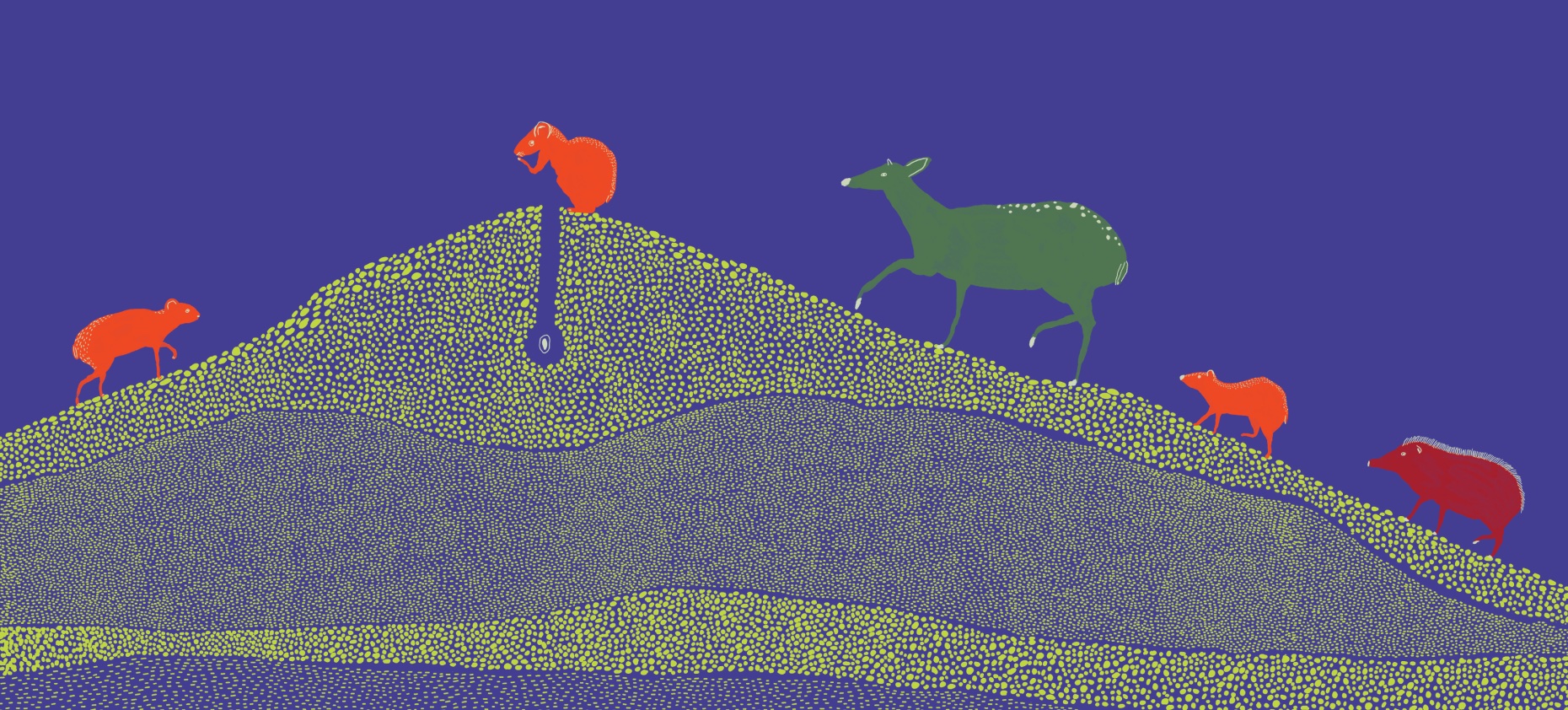 Ilustração de animais sobre colina pontilhada