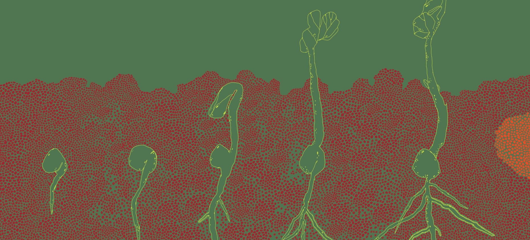 Ilustração pontilhada de sistemas alimentares